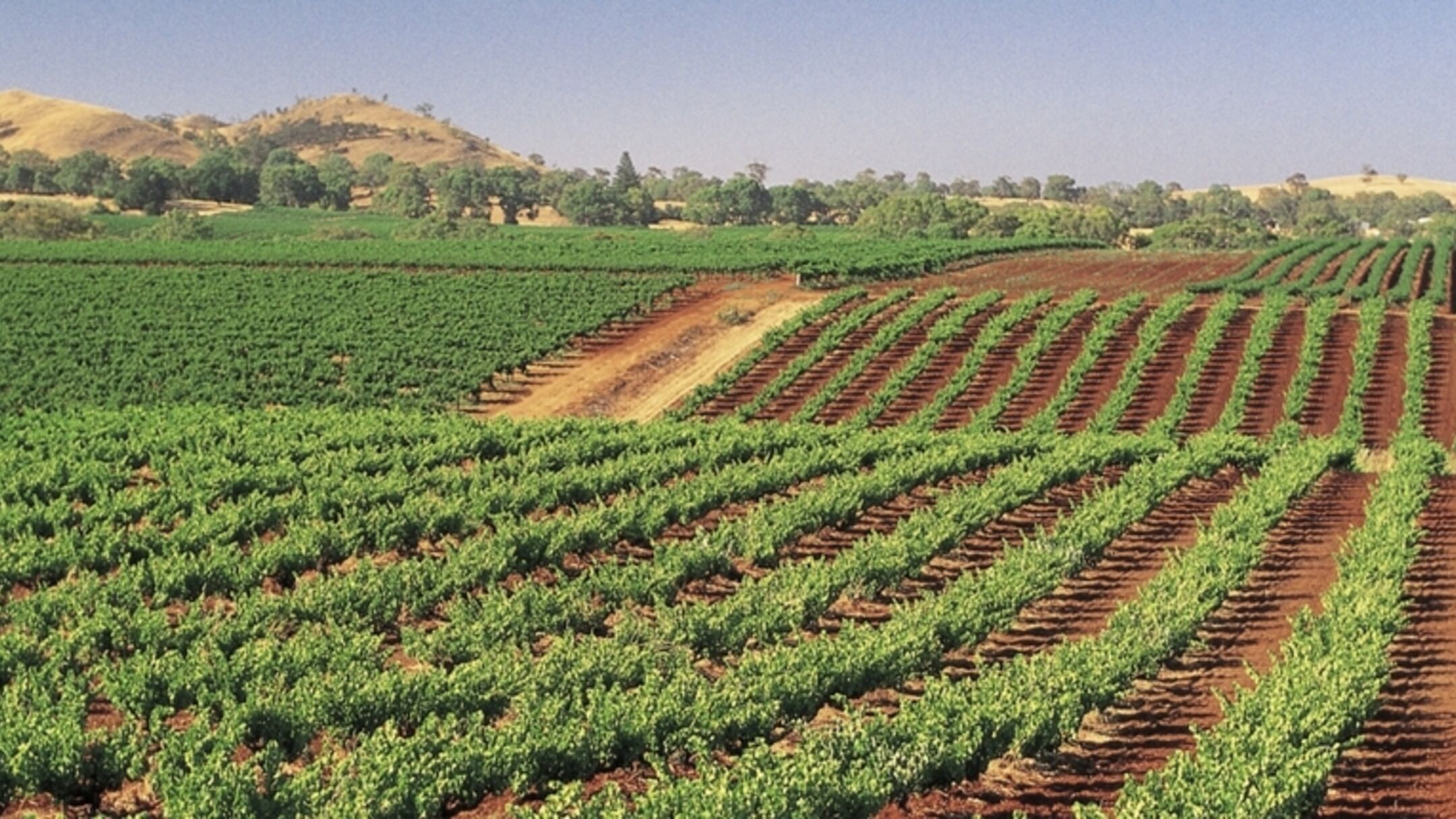 6 Day Barossa & Kangaroo Island Self-Drive Hire Car Package