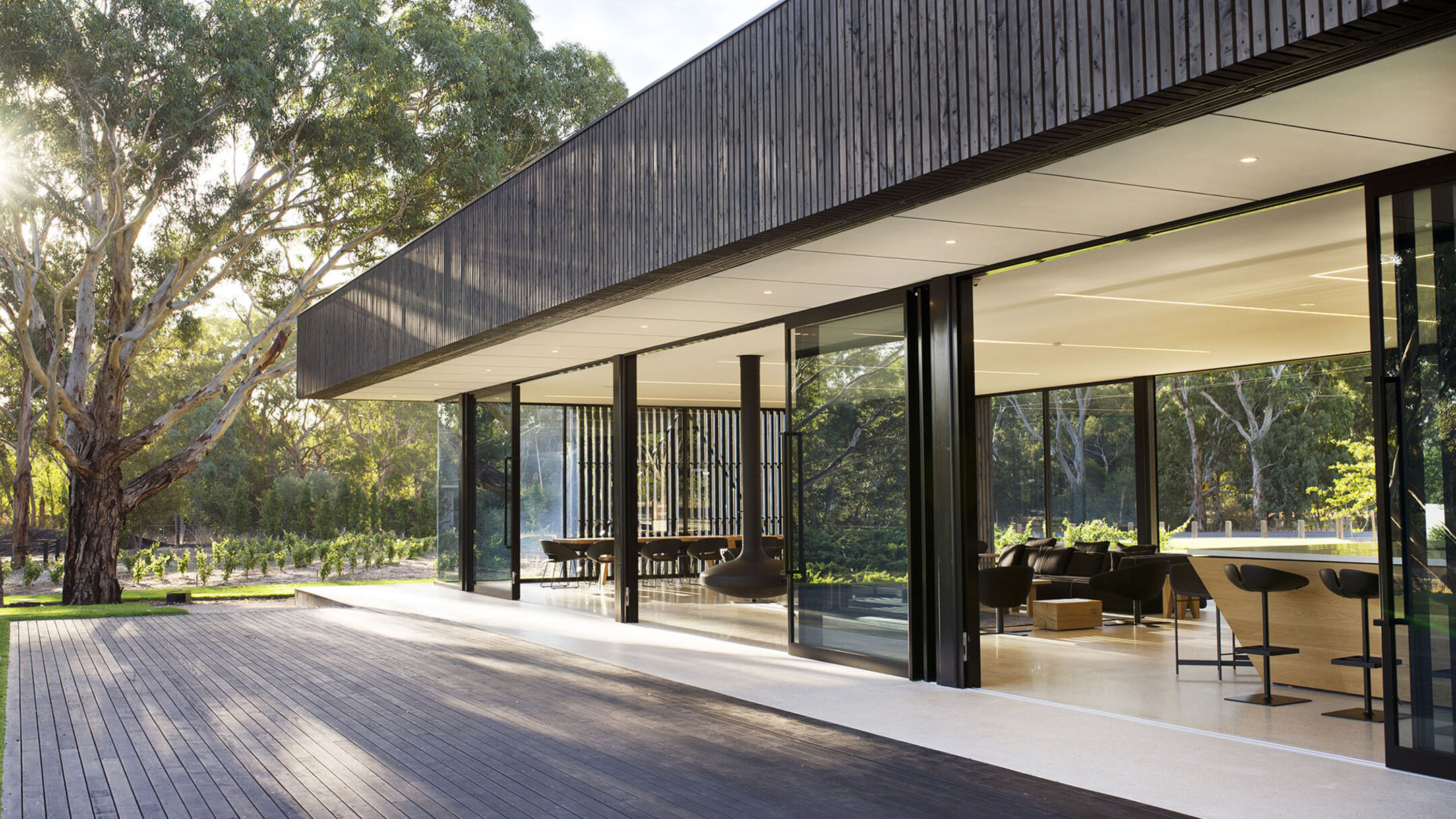 A Day in McLaren Vale
