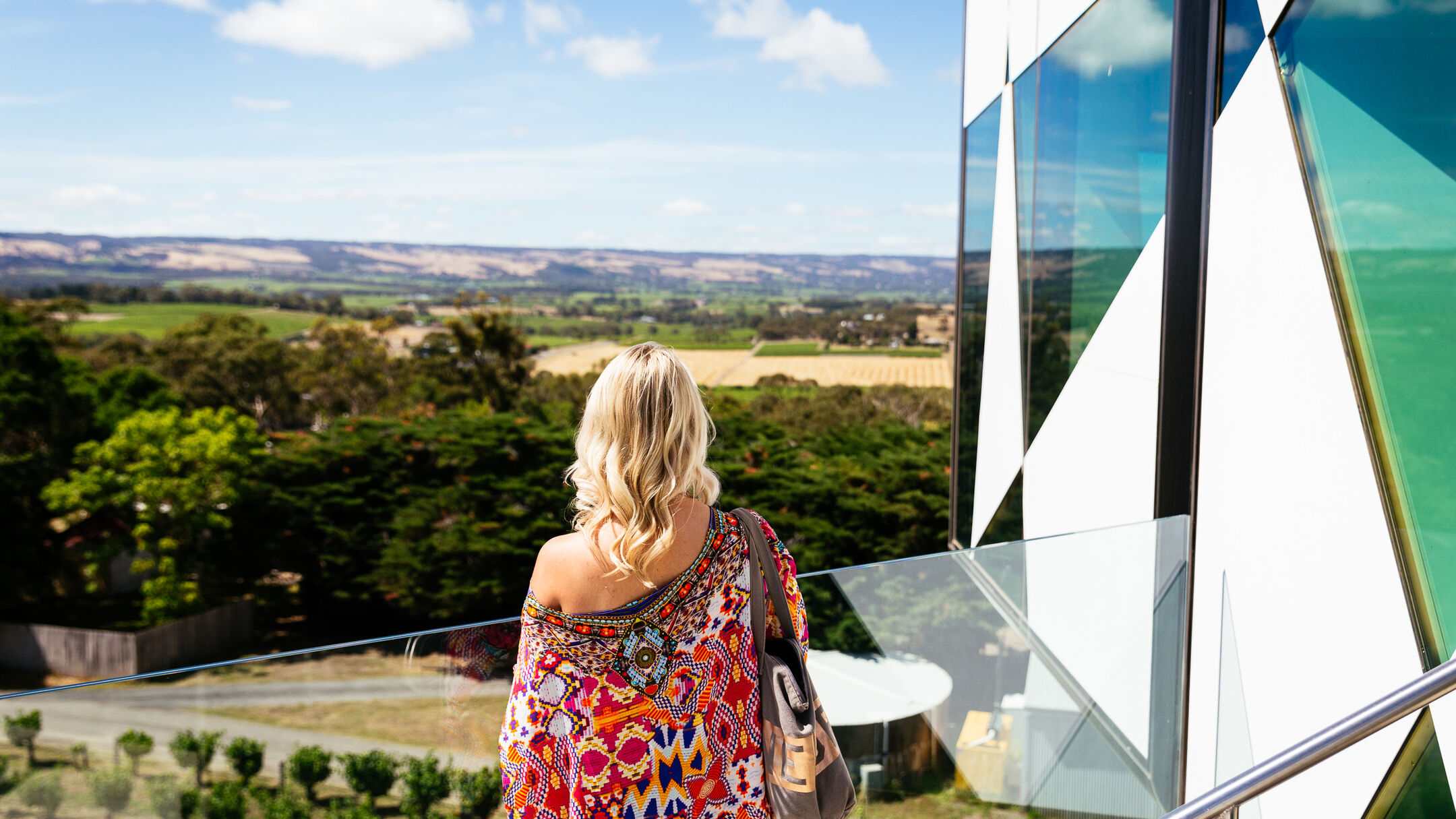 A Day in McLaren Vale